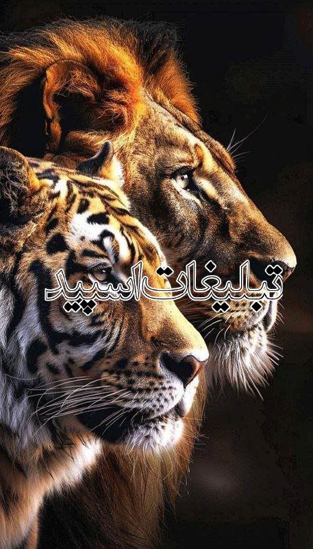 ⚘꙰᜴꯭❥څ‍ۏב۾‍ۏڻ‍ۍ (2)
