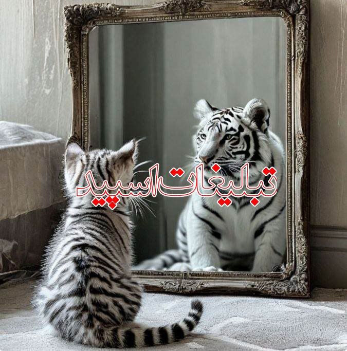 ❤️عشق و دوستی❤️