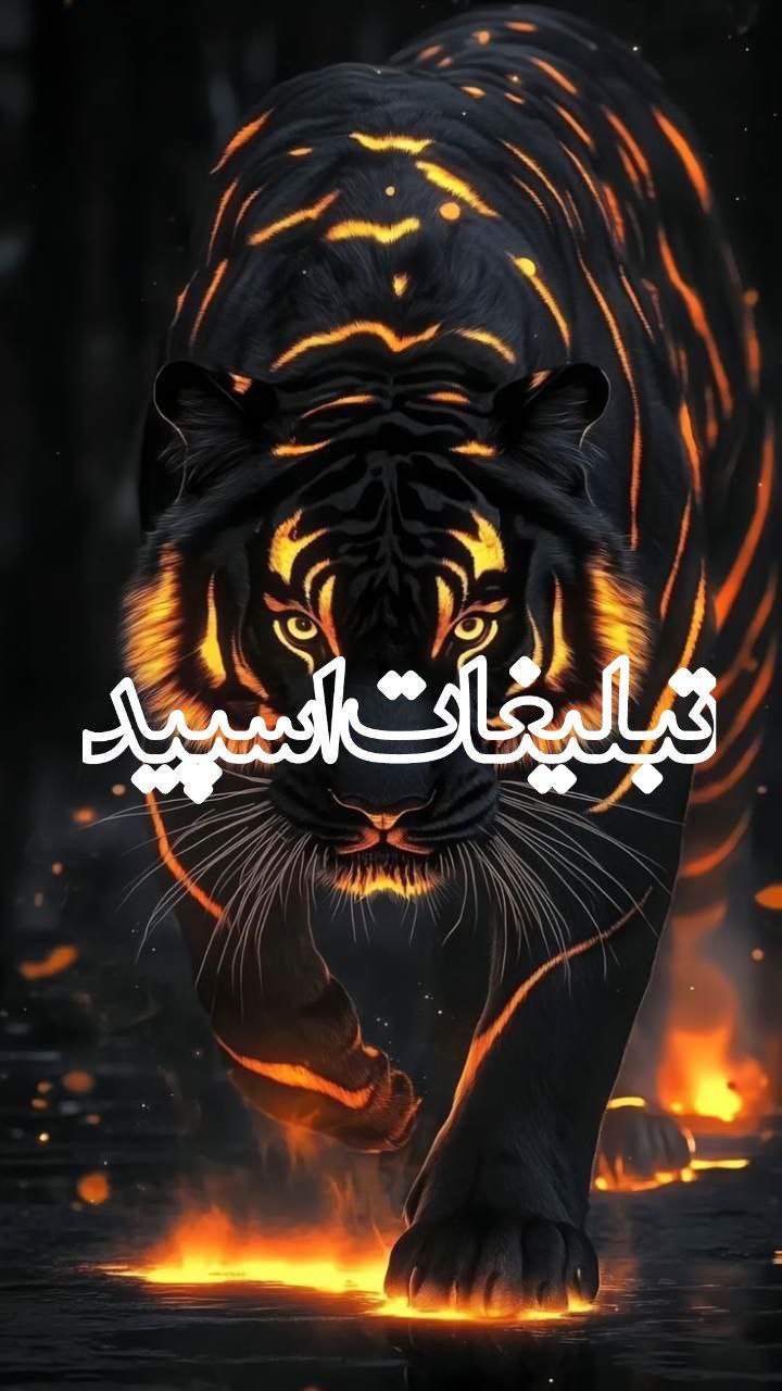 گپ دورهمی مازندران و گلستان