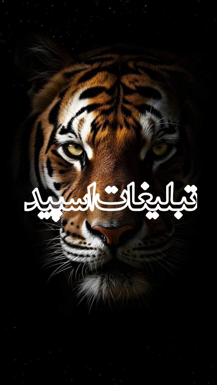 اکیپ دوستان خاص (7)