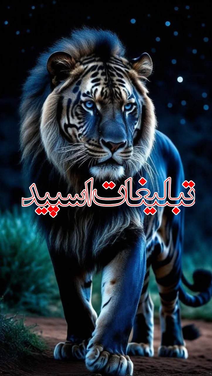 دورهمی لاکچری ها