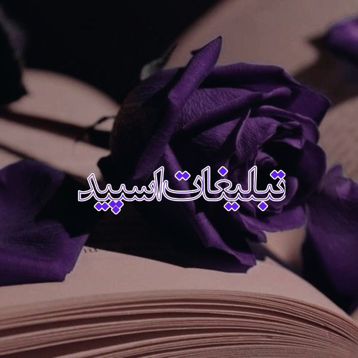 ●◄°ll° Meeting Voice Chat °ll°►