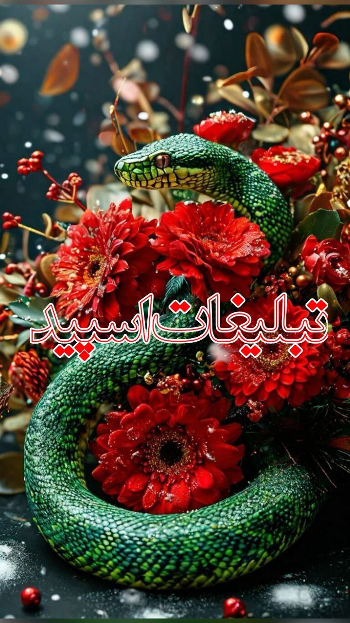 خــودمــونیــا ⛓️👭 (2)