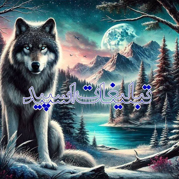 ⎯꯭᪵̽𝆺꯭𝅥𝐖𝐈𝐋𝐃𓆩᪵🜲꯭𓆪̥𝐖𝐎𝐋𝐅⎯꯭꥓᪵ͯ⟶ (267)