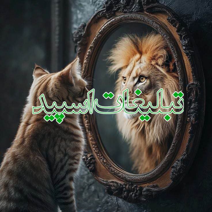 دوستان آینده خوش (3)