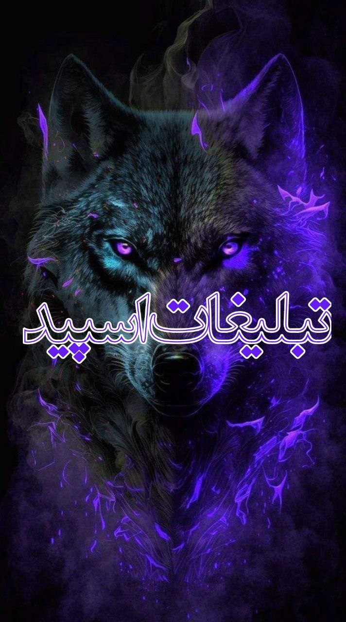ولف ایرانی (12)