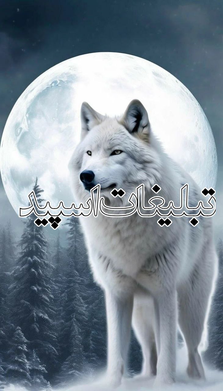 𝄞ꠋ♀⃝⃟💞 رَقص باراٰاٰاٰن 𝄞ꠋ♀⃝⃟💞