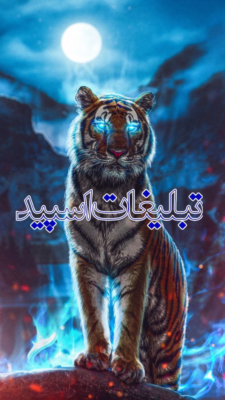 🌙شب✨نشینی با پلنگ🐆 (3)