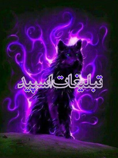 کیوت لند (11)