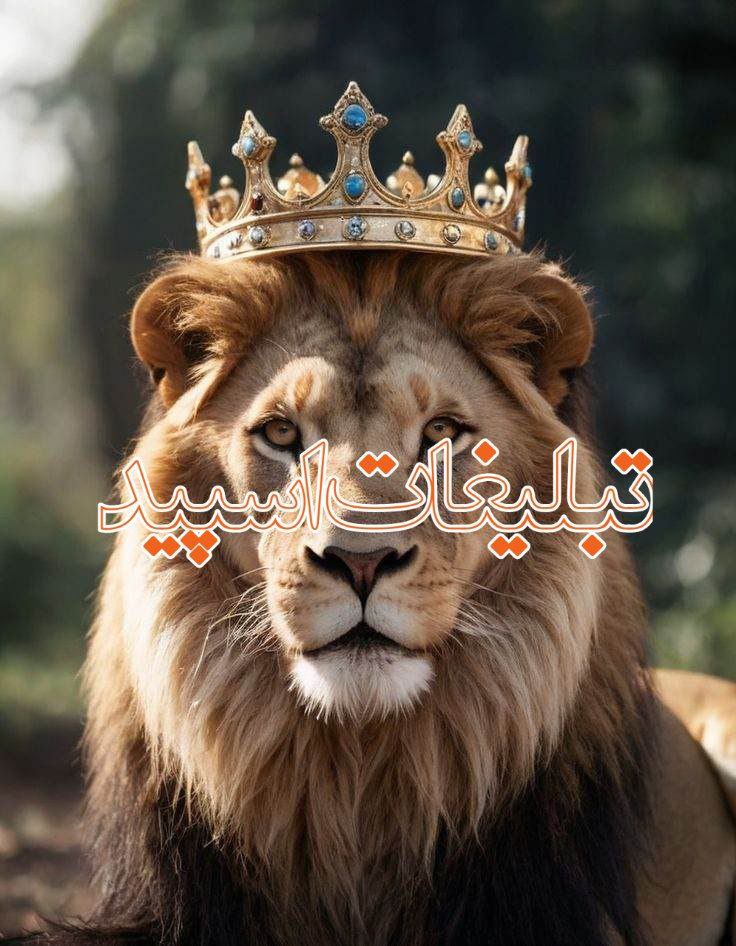 💕❉᭄͜͡ـבورهمے مجرב متاهلا❉᭄͜͡❤