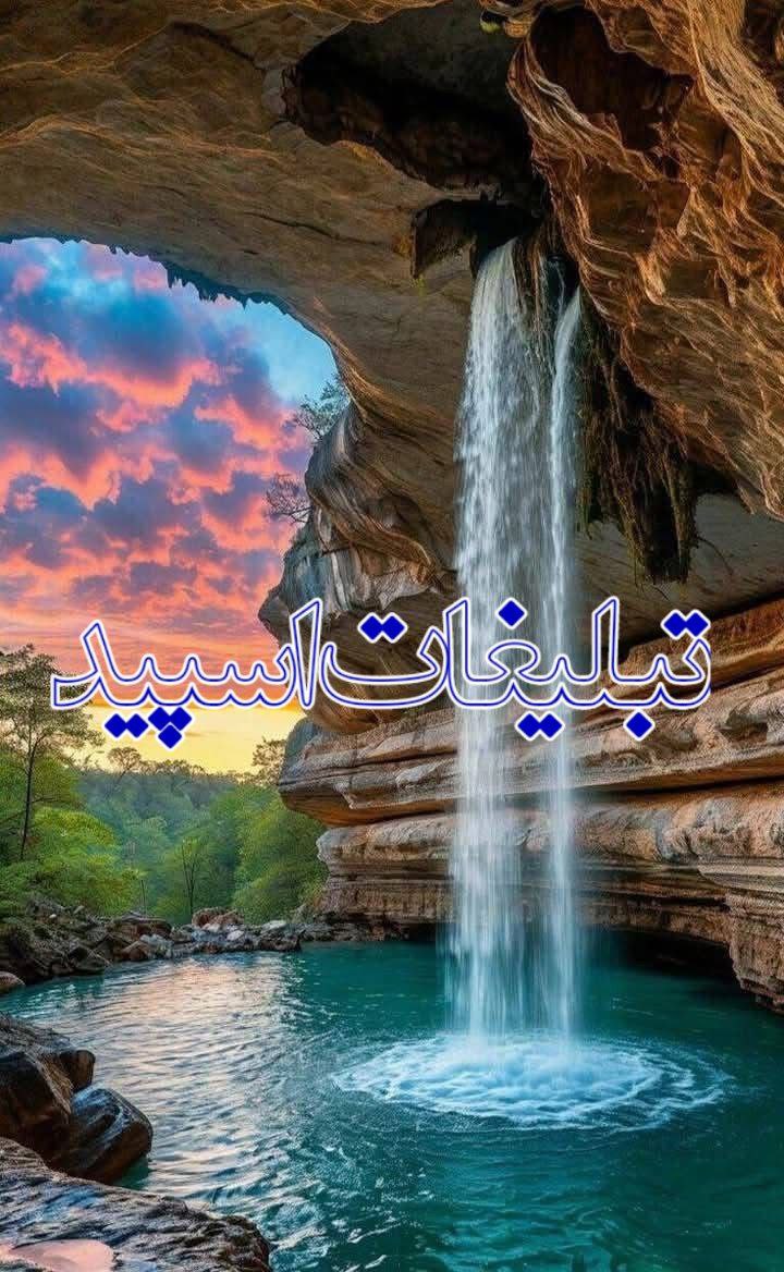 دوستانه (4)