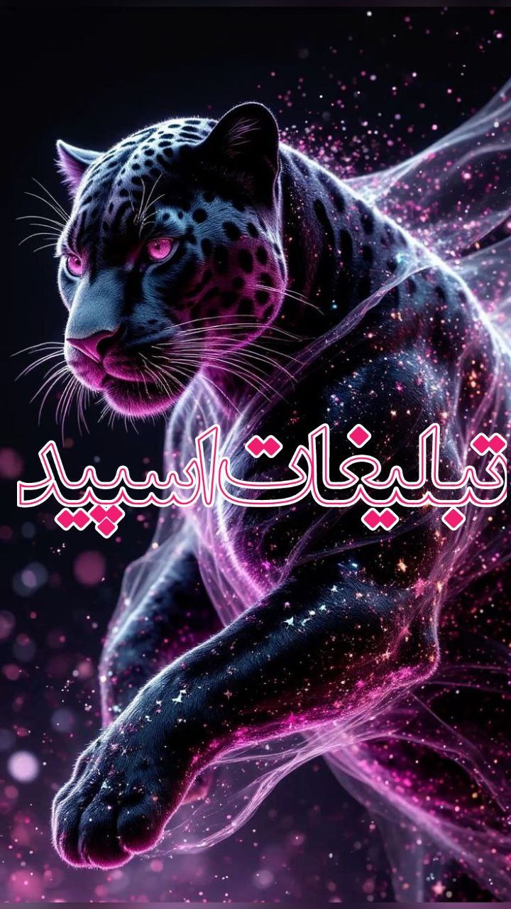 💞⃟⃤ 𝐋𝐢𝐠𝐡𝐭 𝐂𝐡𝐚𝐭 💞⃟⃤
