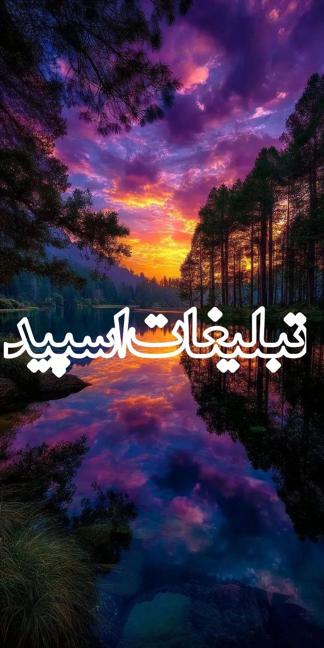 کافه ناز