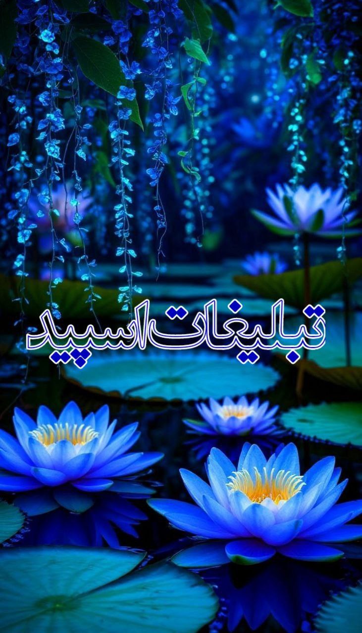 ا༺♥️دوستان بامعرفت ♥️༻ا (2)