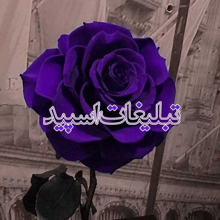 ༺♡ ✿ ❥ ♔ طَنینِ عِشق ♔❥ ✿ ♡༻