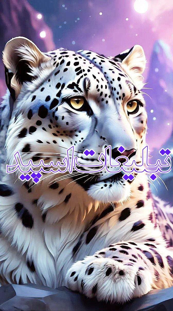 معرفت