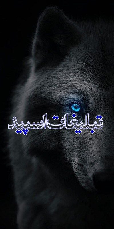 ❤️  ♬حســ𝙉𝘼𝘽✞ ❤️ (4)