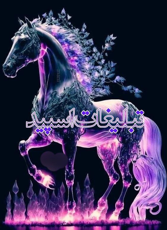 اکیپ باحالا (1)