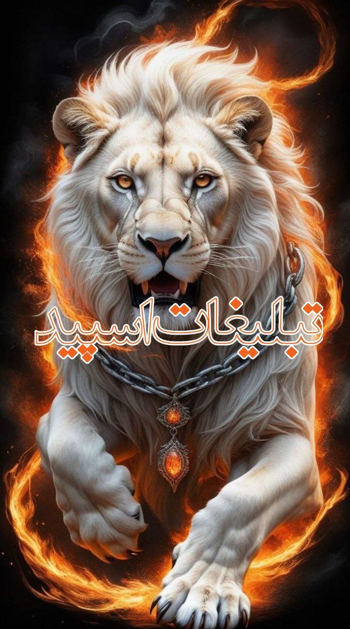 دورهمی لاکچری💖