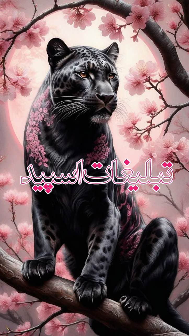 😍اکیپ مشهد😍 (1)