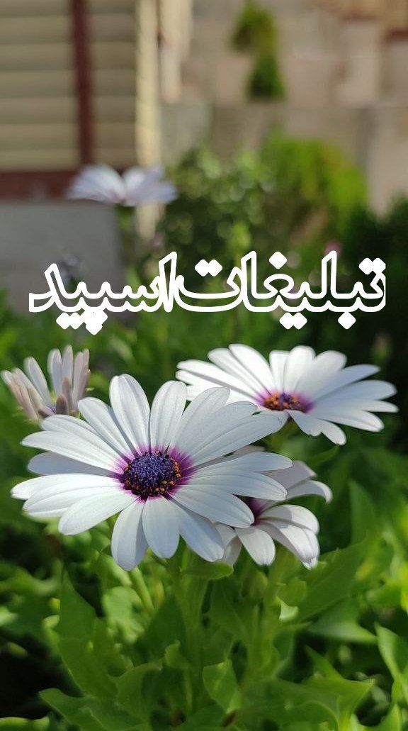 کرمانشاه تهران😍 (2)