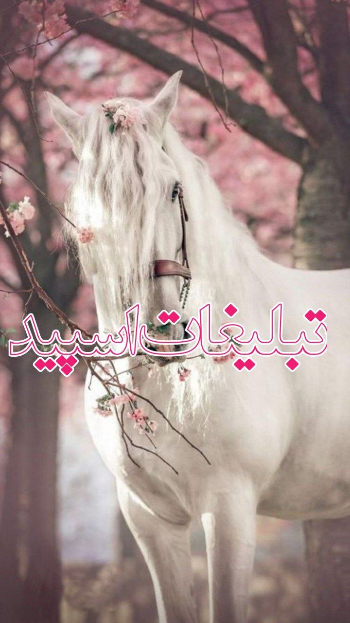دورهمی 30سالگی طهرونیا❤️
