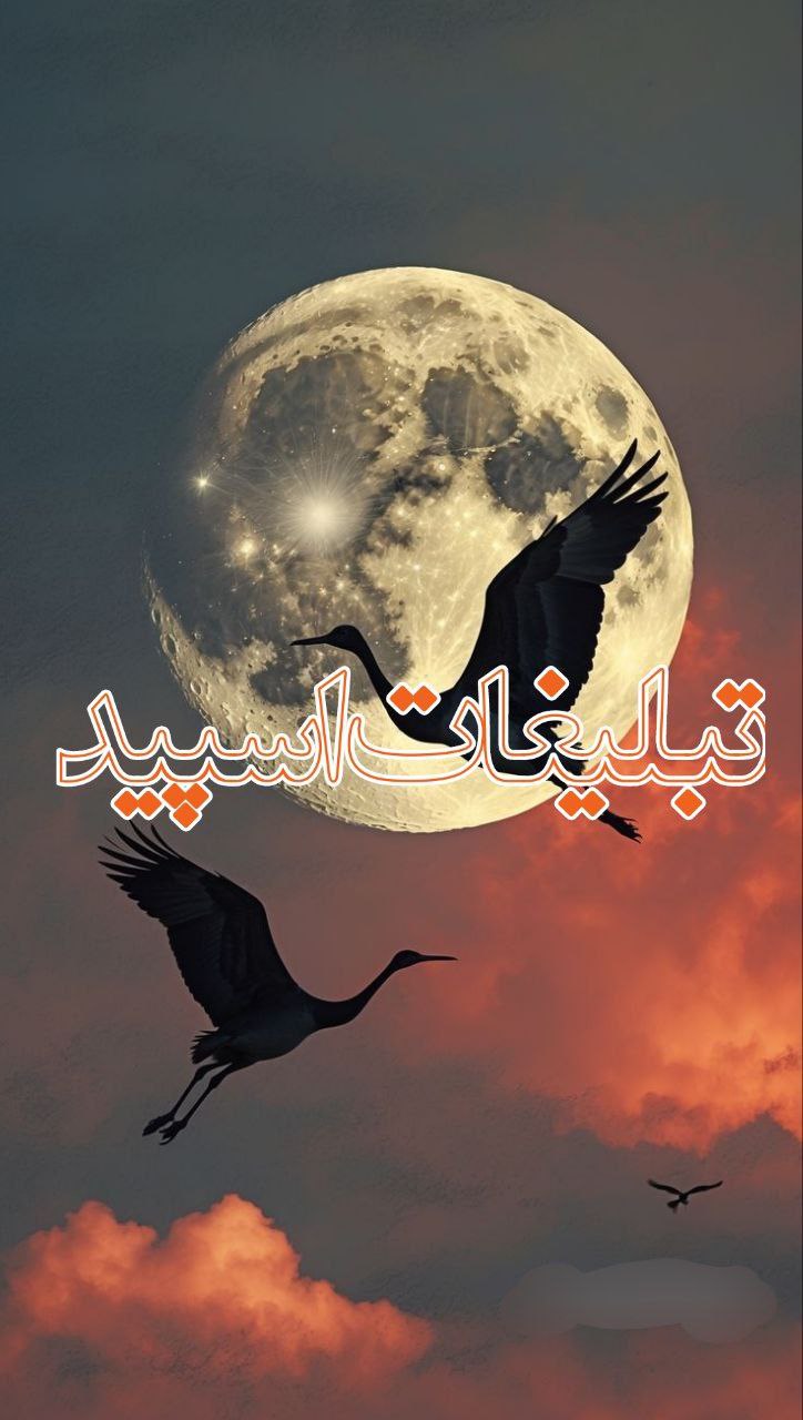 ❤️‍🩹᭄حریم عشق❉᭄͜͡ (3)