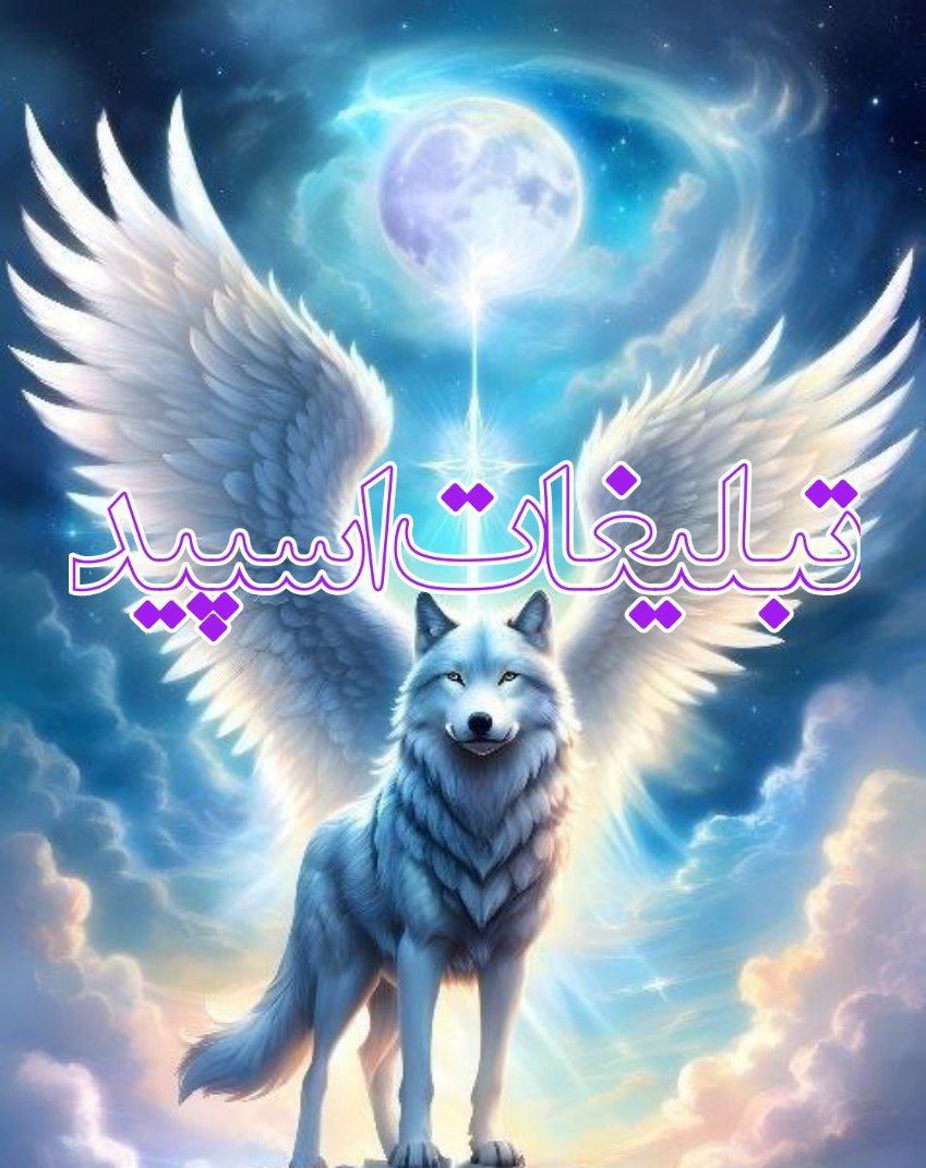 𝑀𝑜𝑜𝓃𝓁𝒾𝓉 𝒰𝓈 ✨ (3)