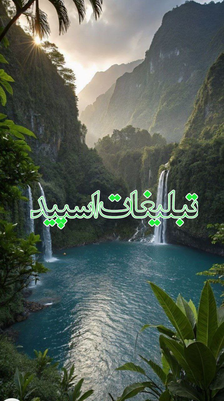🫀✨Gp. Shabha ye shomal✨🫀 (3)