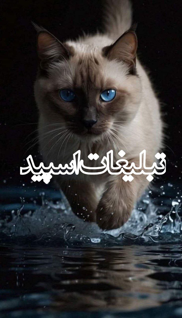 سوت دلان ❤️