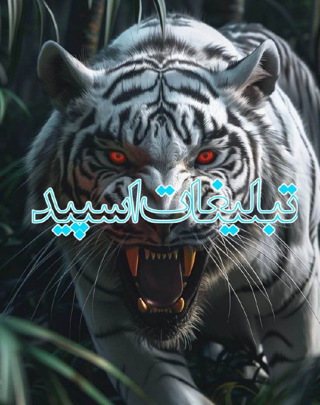🔱𝑩𝒍𝒂𝒄𝒌 𝑺𝒕𝒂𝒈𝒆🔱