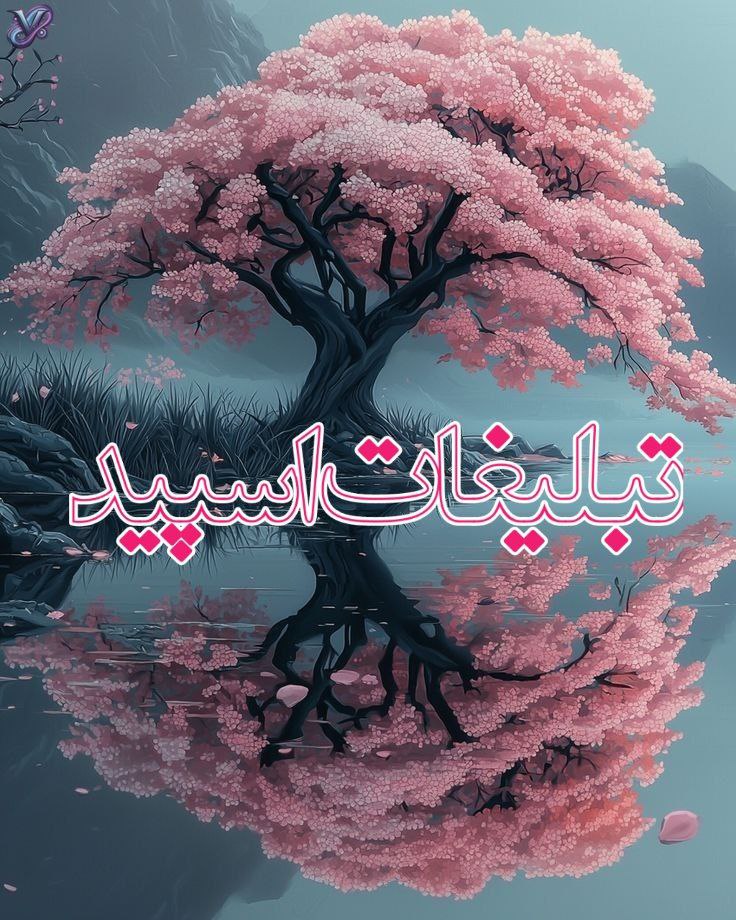 ️ ↓○‌●|‌‌‌‌‌‌‌ 𝘾𝙐𝙏𝙀 𝙇𝘼𝙉𝘿 ❑▸‌‌↳‌‌┌‌‌‌‌‌‌‌‌♥️┘∇
