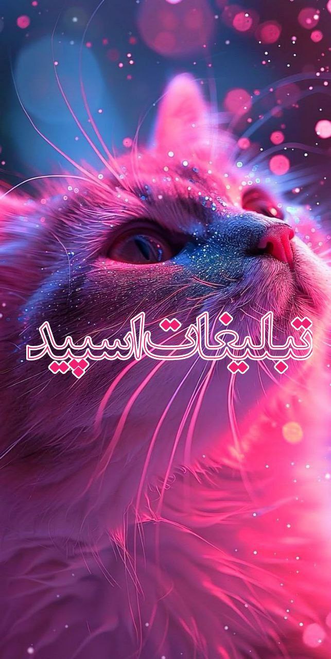 ༒『𝐍𝐚𝐛𝐳 𝐄𝐡𝐬𝐚𝐬』༒