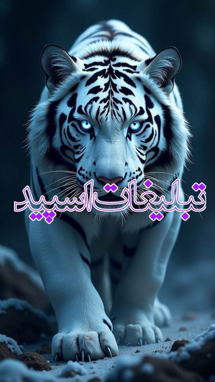 💞 حـٰٖـۘۘــٍٰرٰٖیـٰٖـۘۘــٍٰمۘۘ عـٰٖـۘۘــٍٰشـٰٖـۘۘــٍٰق 💕 (13)