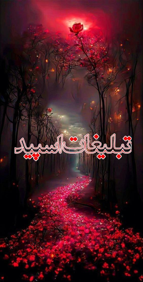 *◄থৣ کا؋ــہ چت لرستاט 💖থৣ► (1)