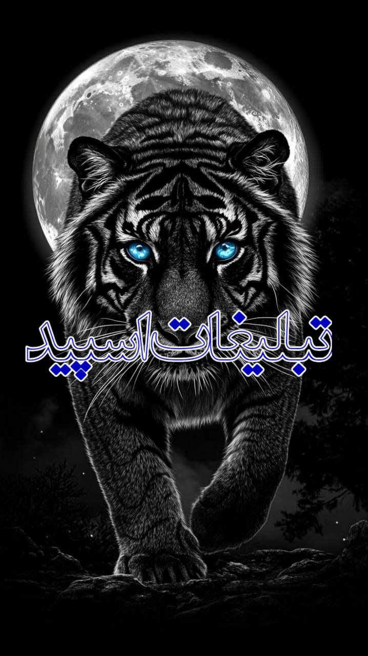 🦋✧꯭⊰❴ ܥ‌‌𐬐ࡄ‍ࡅߺ߳‍ߊ‌‌ࡍ߭ ܭ‍ܩ‍ࡅ࡙ߺ‍ߊ‌‌ࡅߺ߲ࡉ ❵⊱꯭✧🦋 (11)