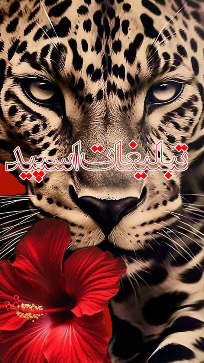 دورهمی دوستانه ماندگار (1)