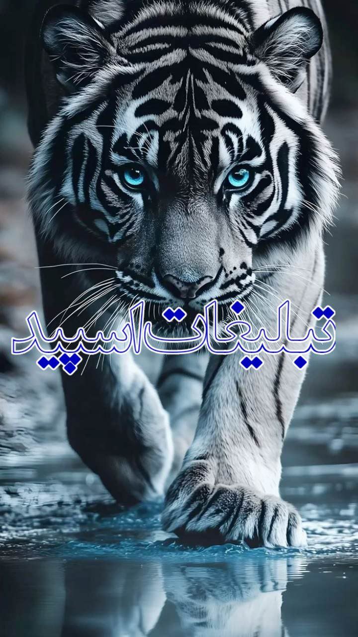 حرف وغزل❤️