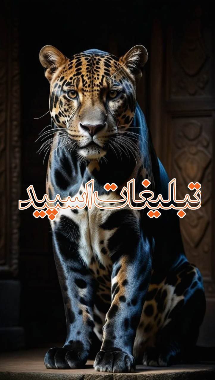 پناه❤️❤️
