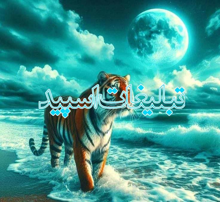 دورهمی ایرانی♥️