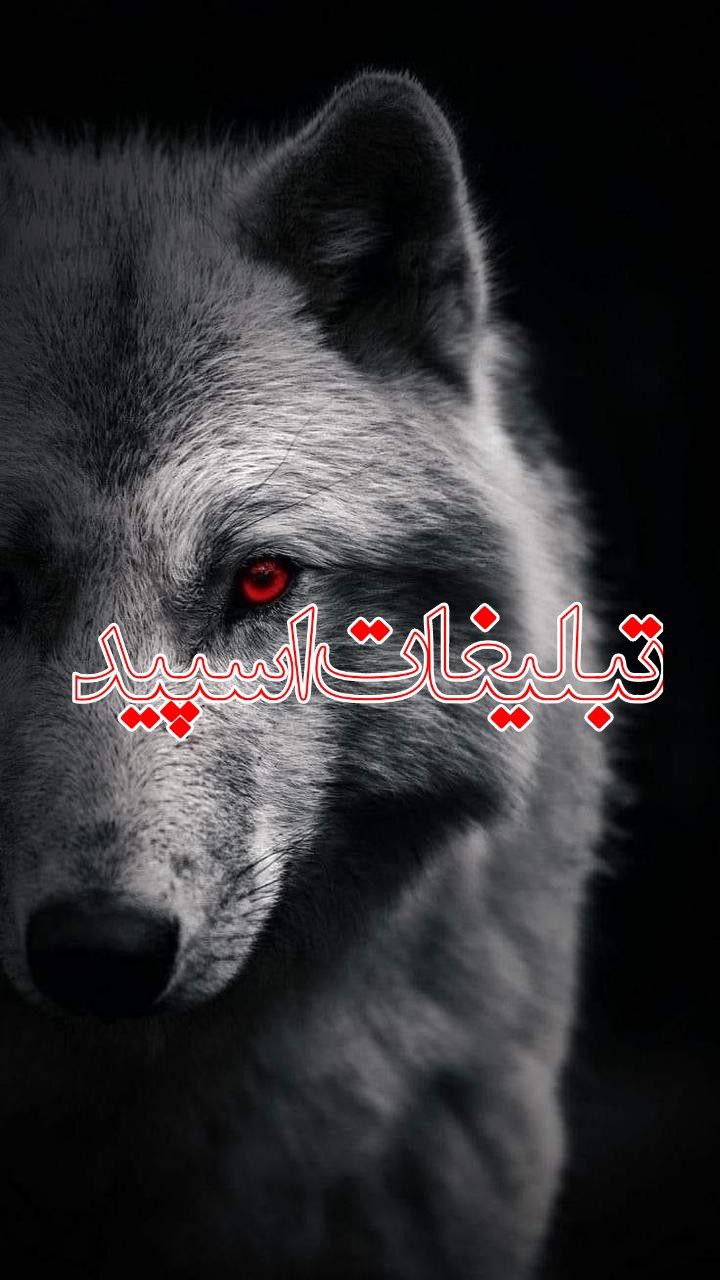 چتکده (5)