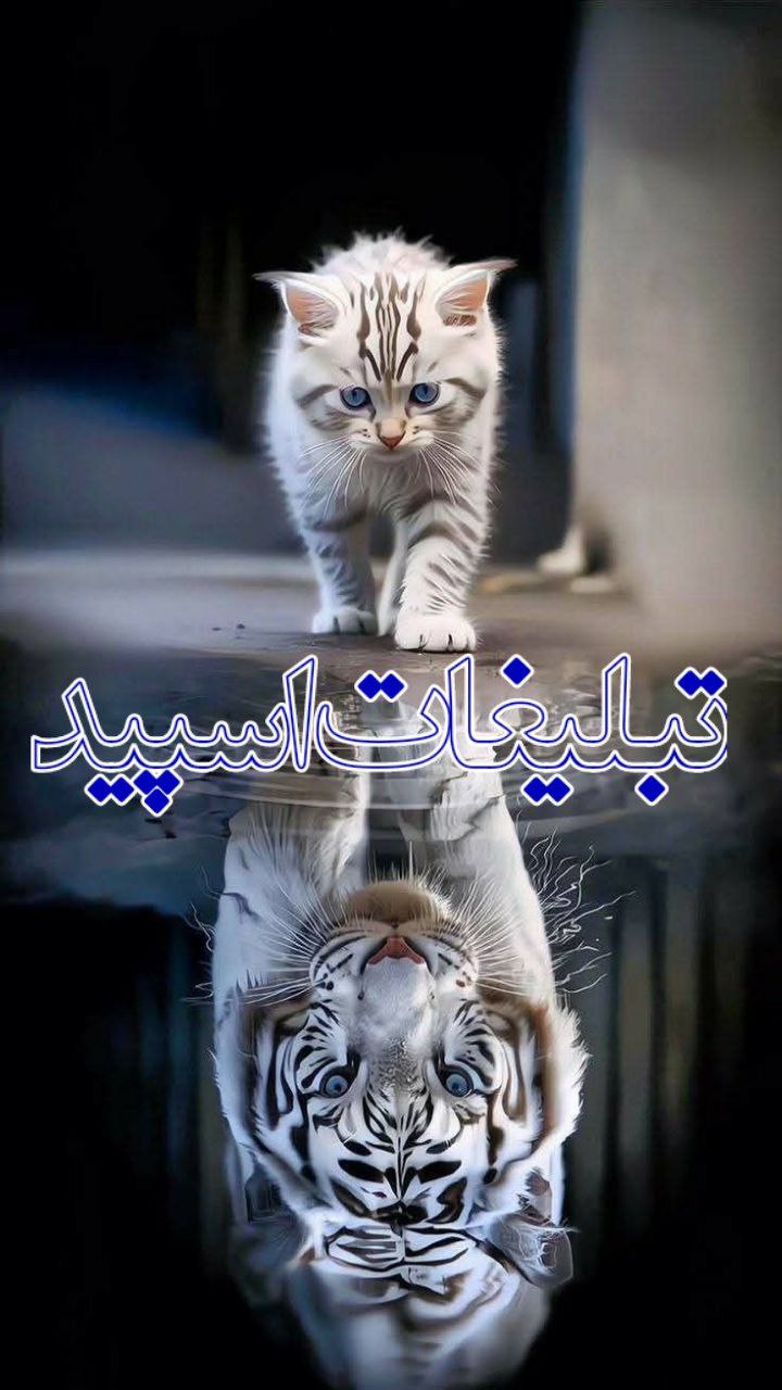 : ◄𝄟≛⃝🧿❉‌‌্᭄ سـ۪ٜـ۪ٜـ۪ٜـ۪ٜـ۪ٜـ۪ٜرزمین آریــایے 𝄟✾ُُ𝆹𝅥𝅮️ (1)