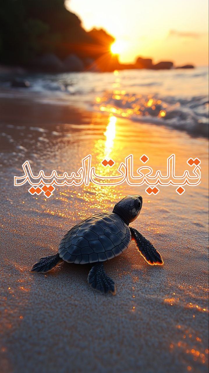 امپراتوری دیاکو