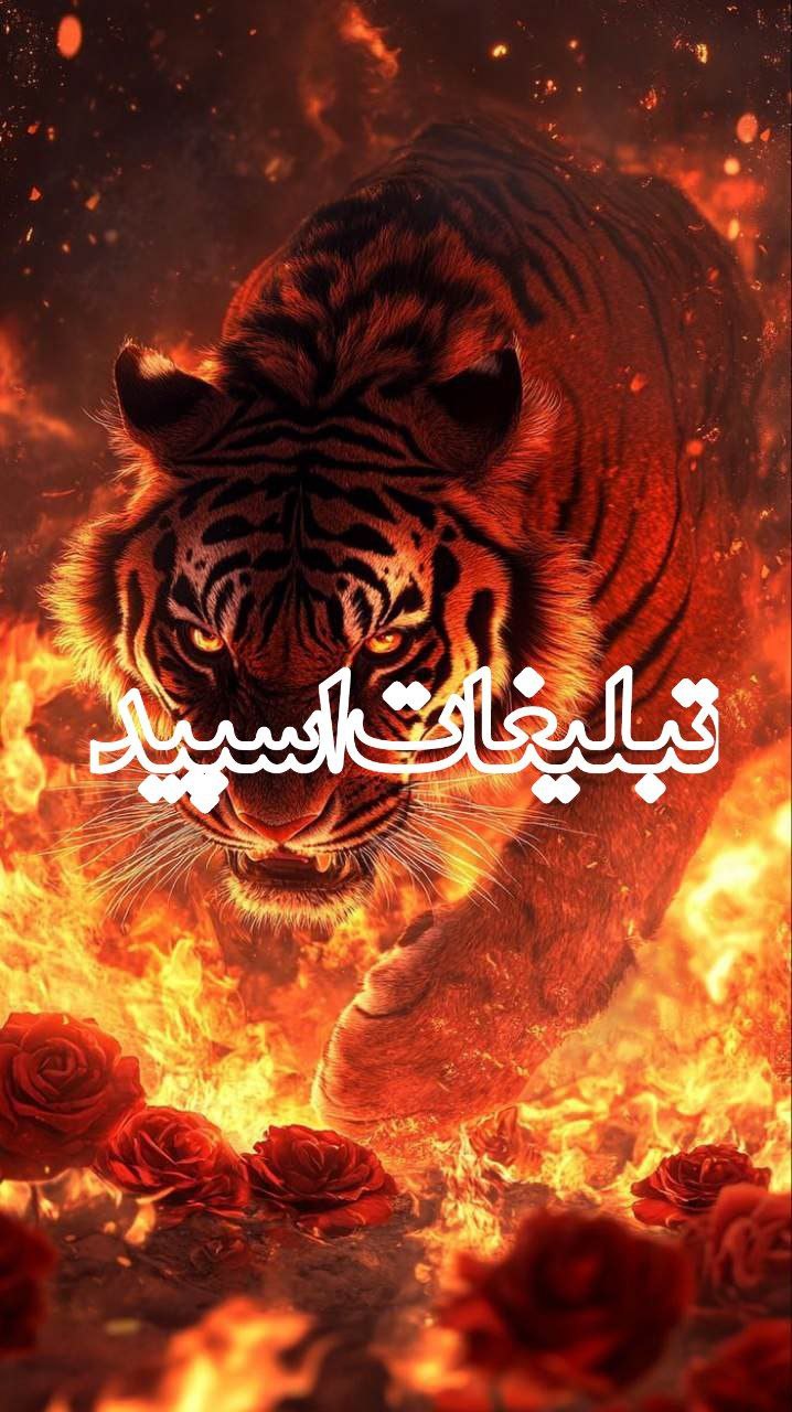 دوستان با محبت (1)