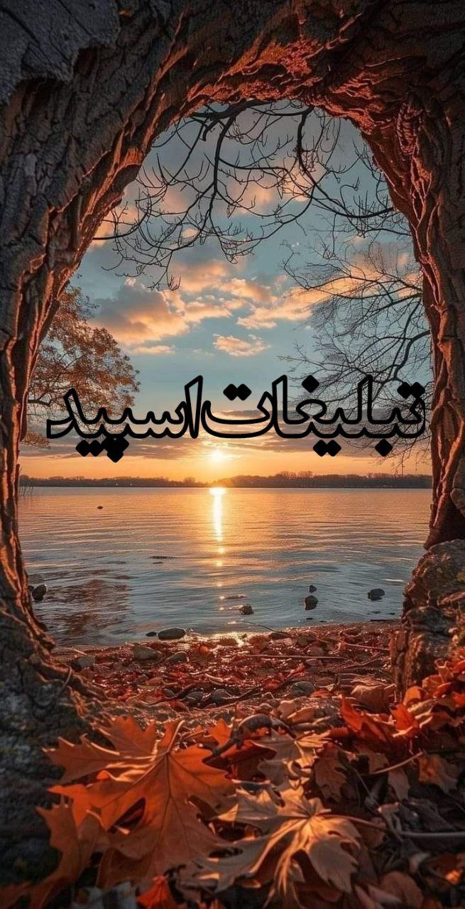 کافه لاکچری (6)