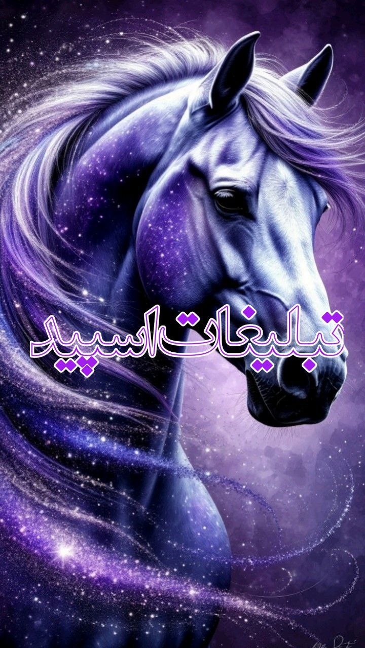 ♛میتــــ𝐌𝐞𝐱𝐢𝐜𝐨ــــینگ❦ (1)