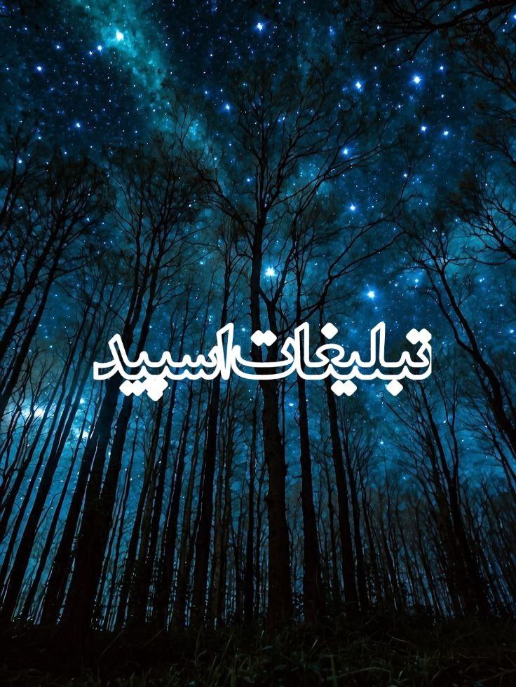 وایلد ولف (380)