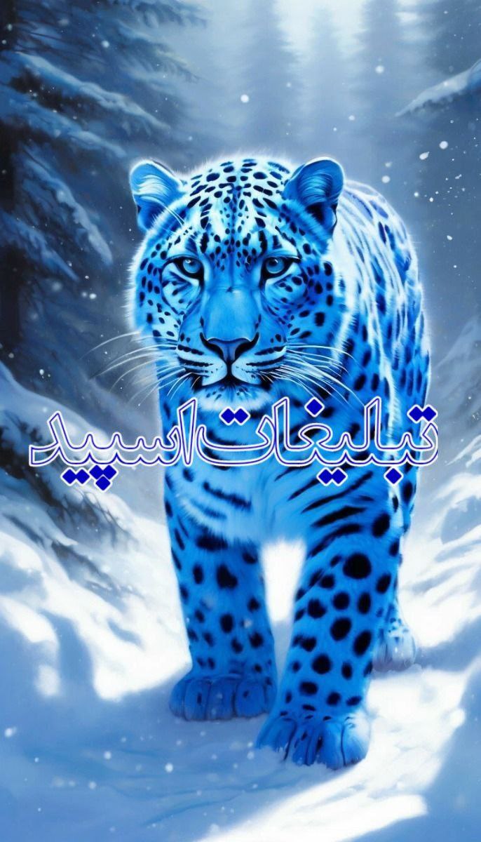 𝗠𝗶𝗱𝗻𝗶𝗴𝗵𝘁 𝗧𝗮𝗹𝗸𝘀 🌌 (1)