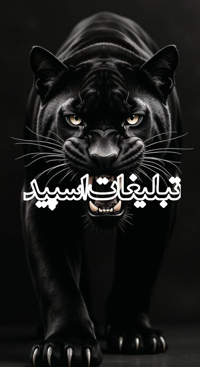 دورهمی ❤️❤️خوبان ❤️❤️