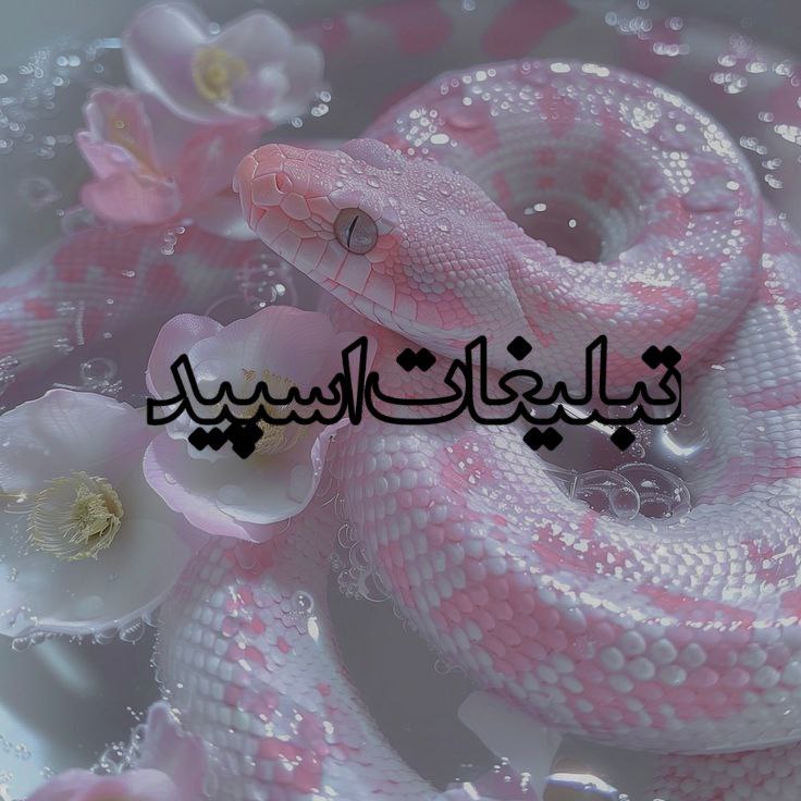 دختر پسرای باحال💃